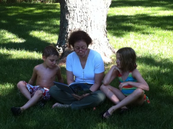 readingareelcoolsummer2