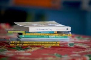 stack of susanne's books