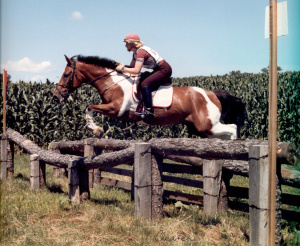 pictures-from-old-dell-115